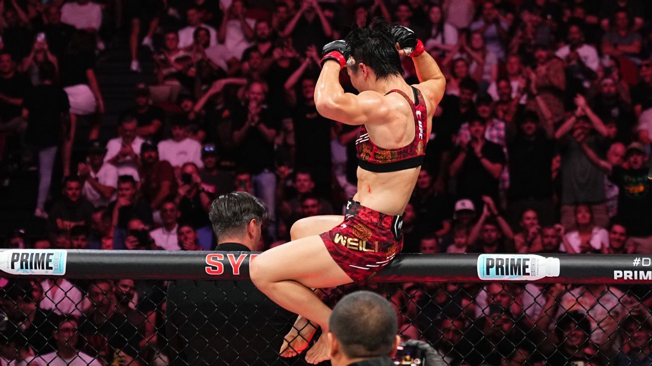 的团队在未 的团队在未