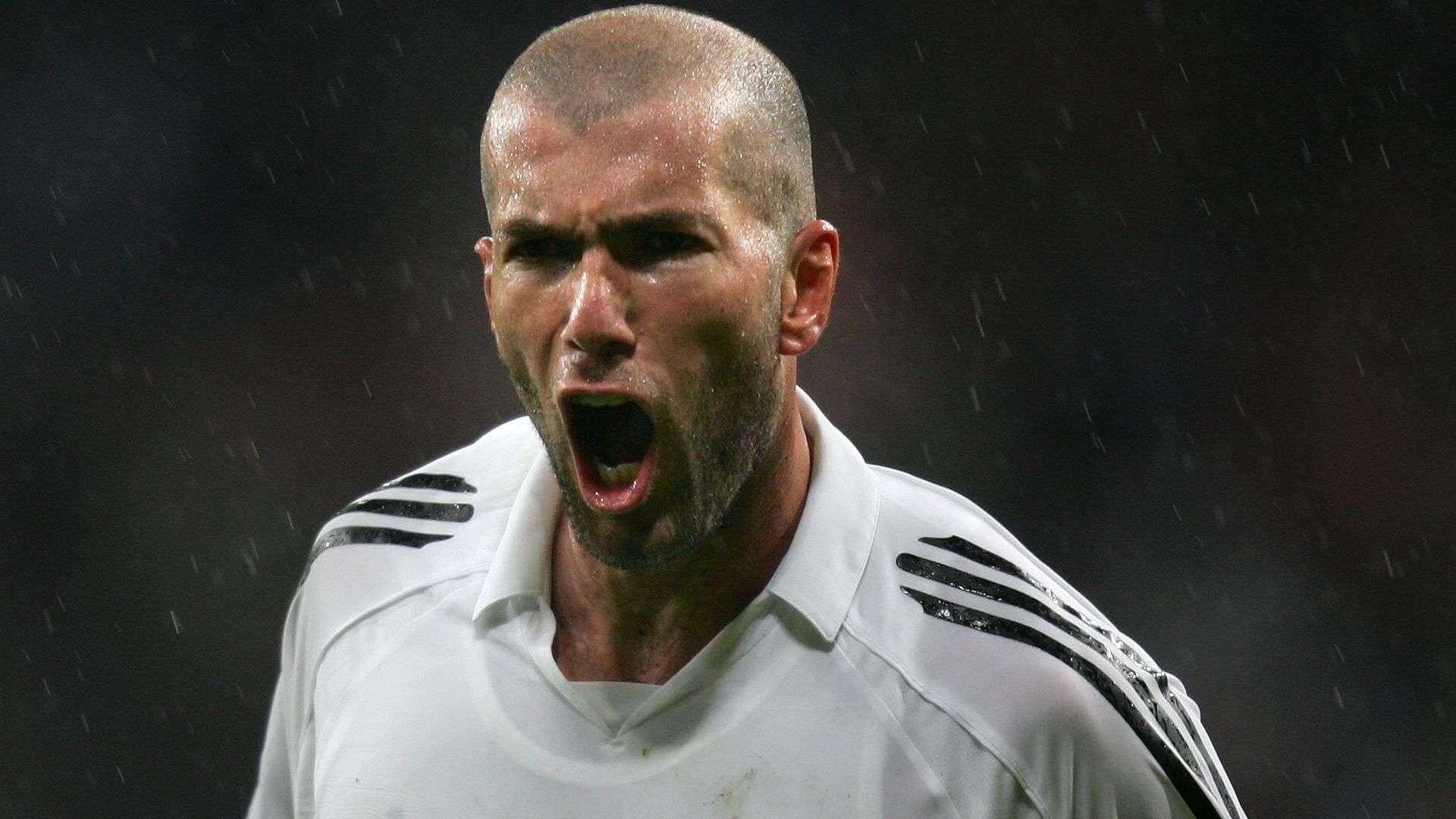 但网络直播 但网络直播