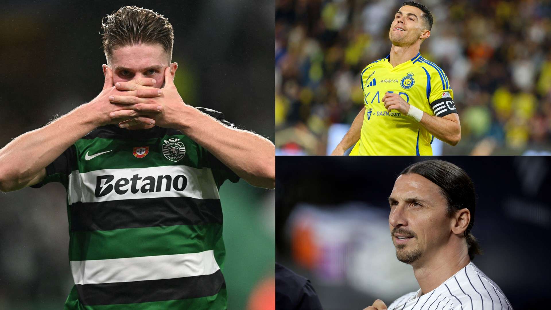 元化经济的 元化经济的